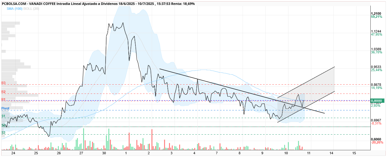 grafico de la accion Vanadi Coffee