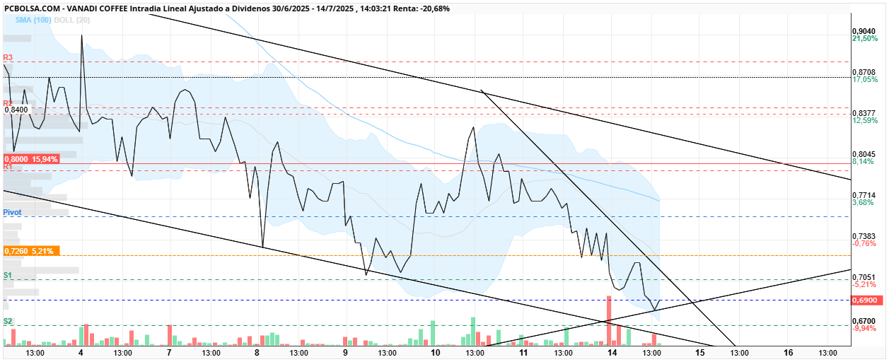 grafico de la accion Vanadi Coffee