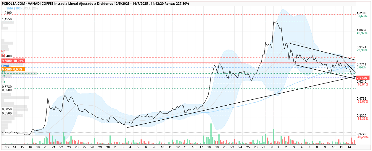 grafico de la accion Vanadi Coffee