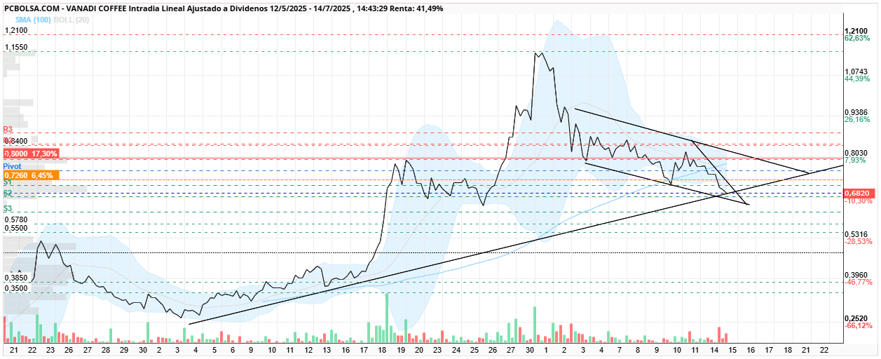 grafico de la accion Vanadi Coffee