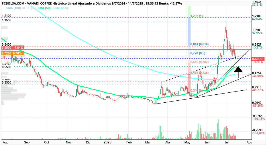 grafico de la accion Vanadi Coffee