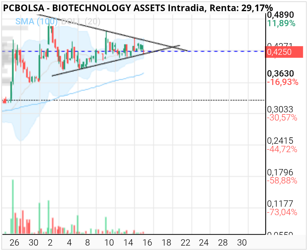 grafico de la accion BIOTECHNOLOGY ASSETS