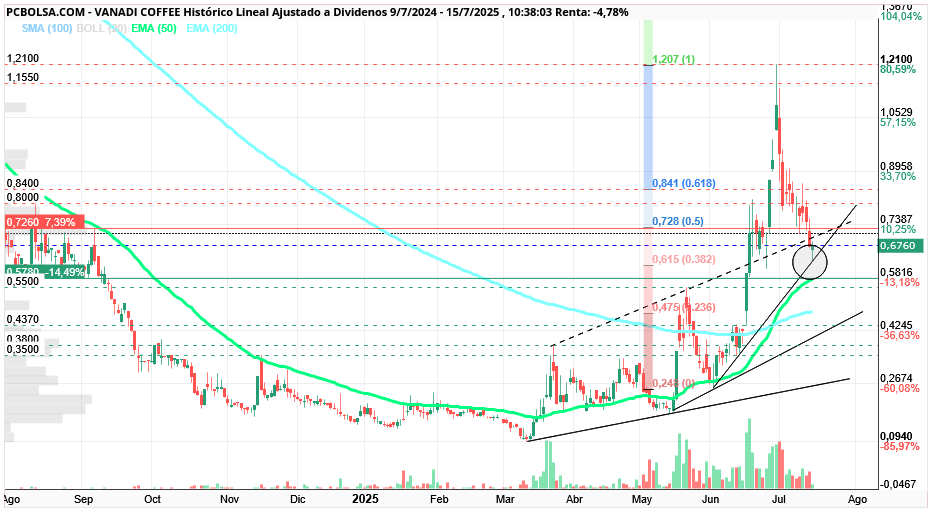 grafico de la accion Vanadi Coffee