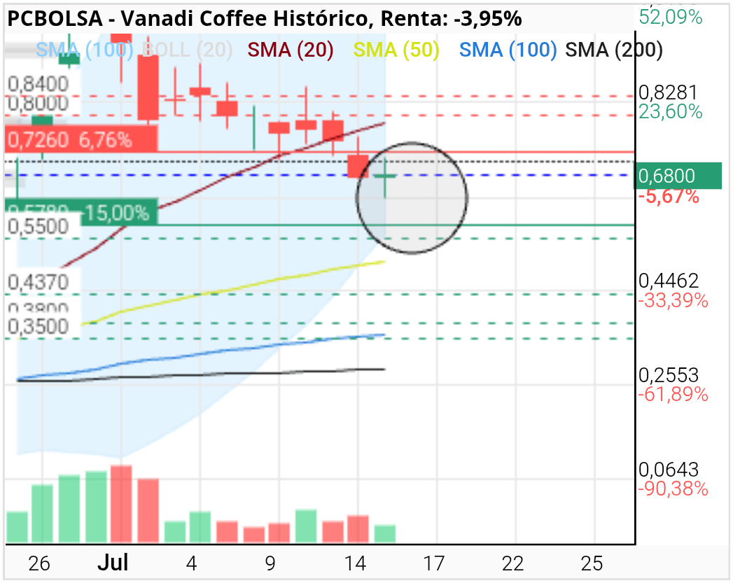 grafico de la accion Vanadi Coffee