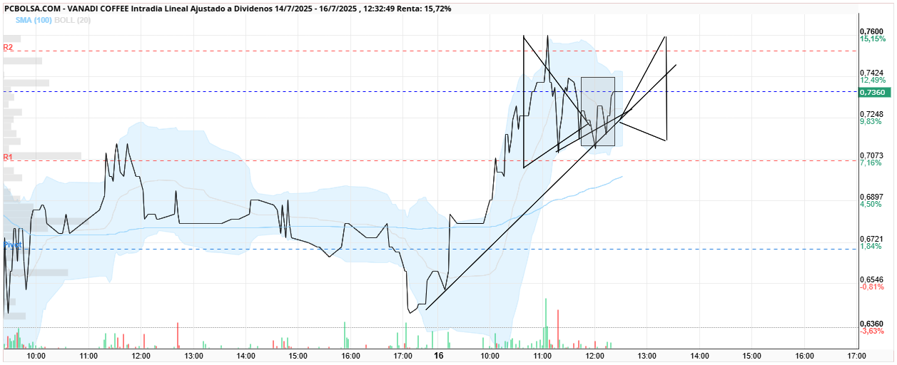 grafico de la accion Vanadi Coffee
