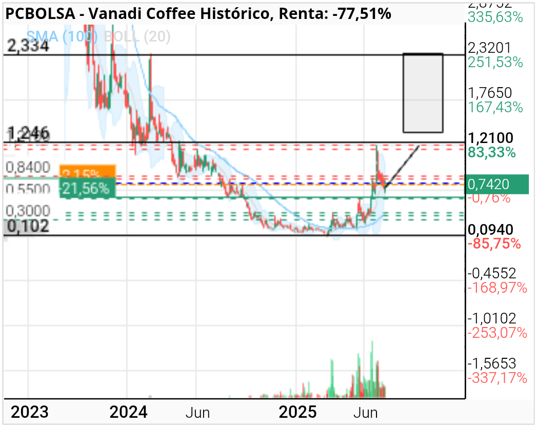 grafico de la accion Vanadi Coffee