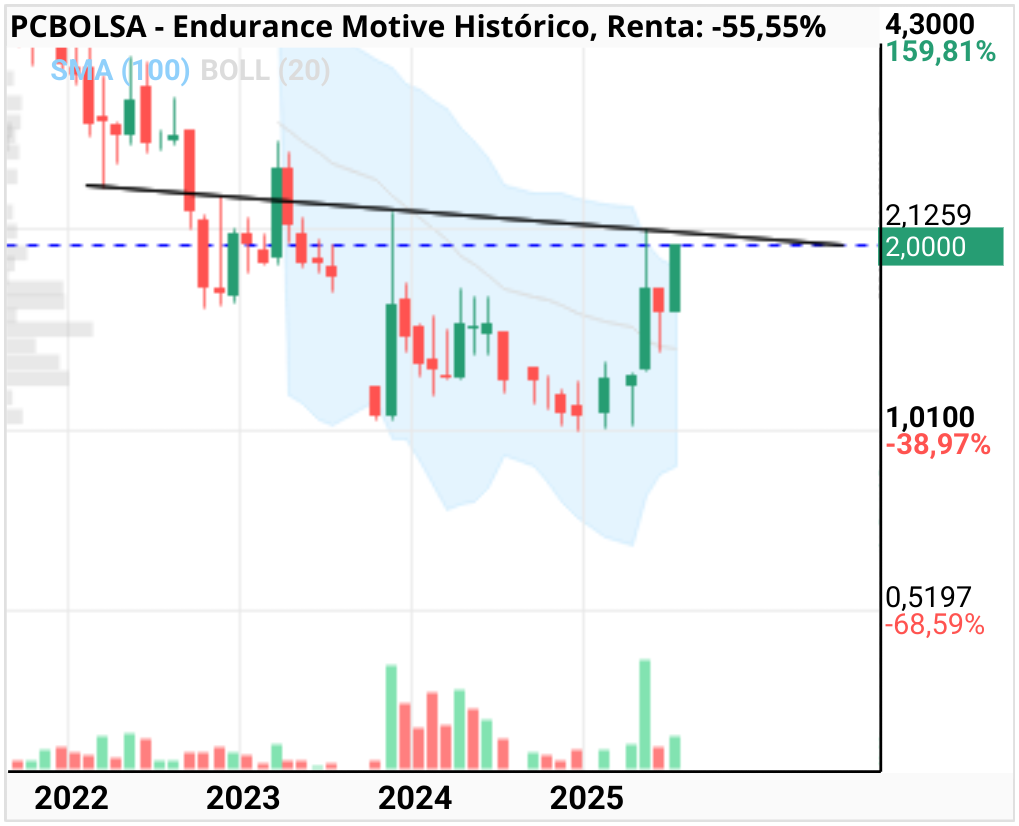 grafico de la accion Endurance Motive