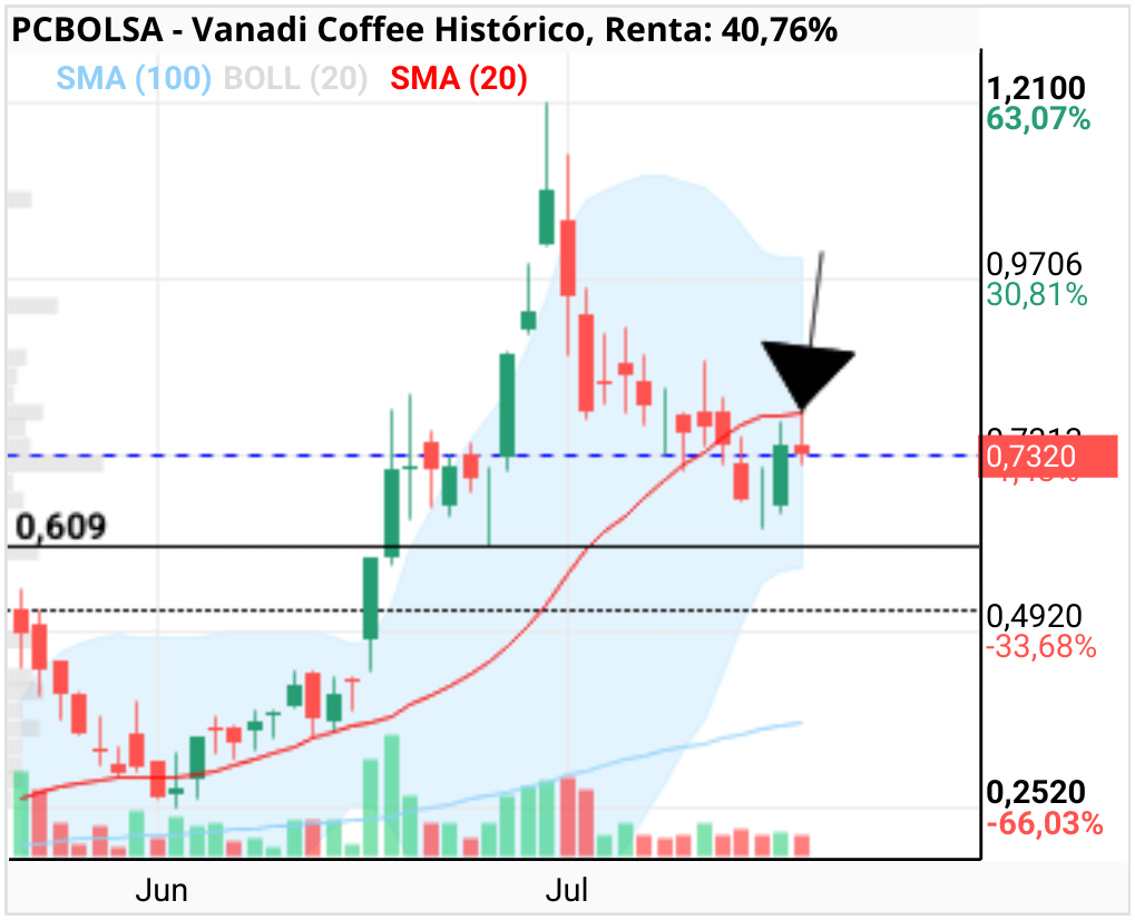 grafico de la accion Vanadi Coffee
