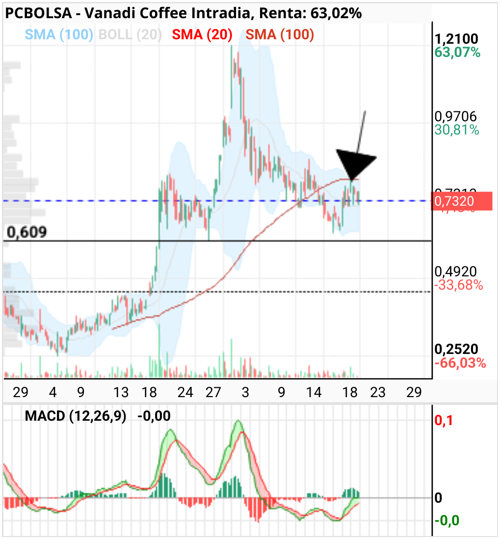 grafico de la accion Vanadi Coffee