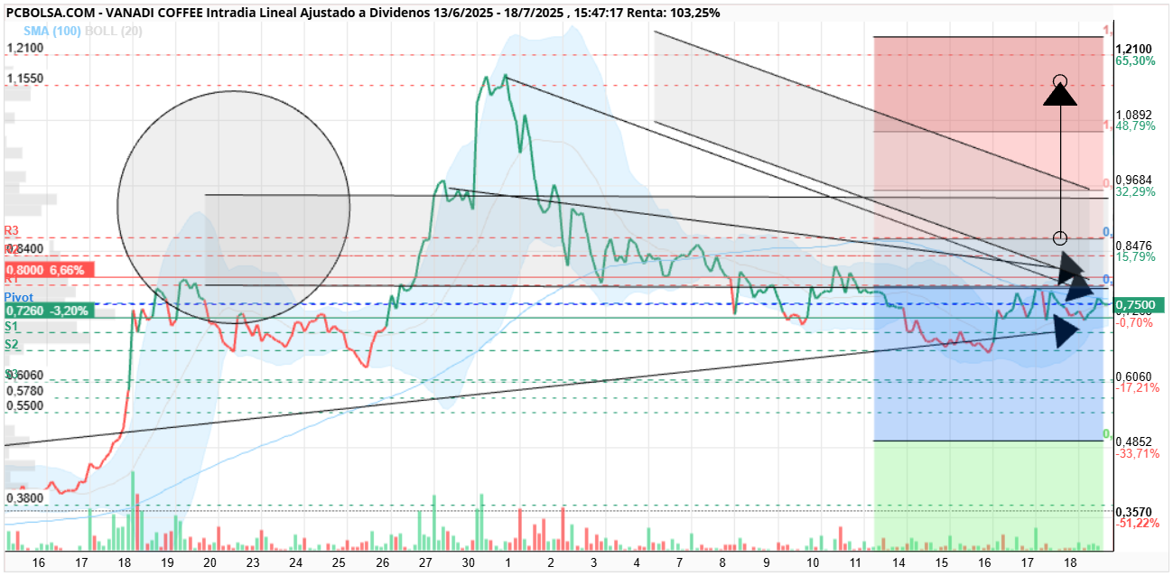grafico de la accion Vanadi Coffee