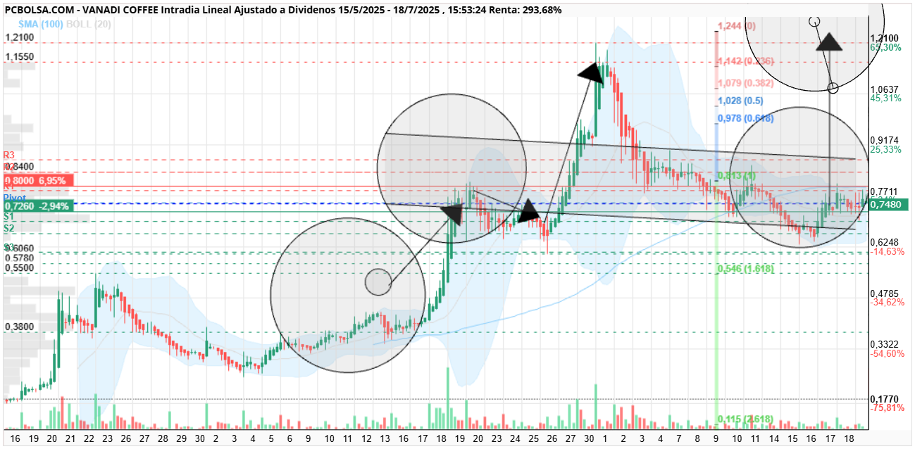 grafico de la accion Vanadi Coffee