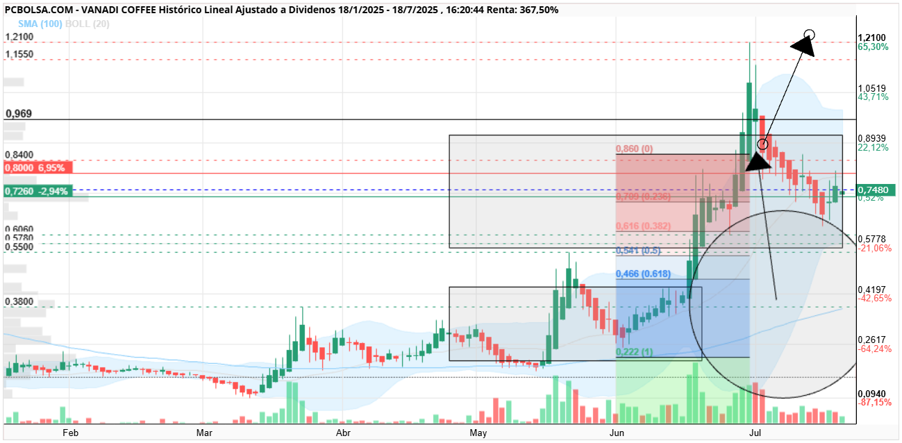 grafico de la accion Vanadi Coffee