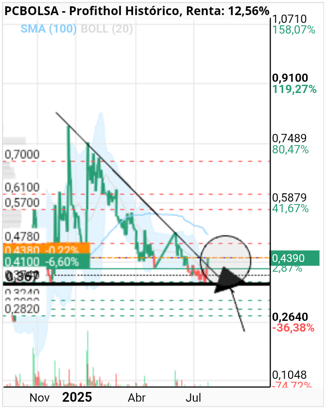 grafico de la accion Profithol