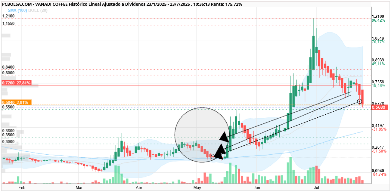 grafico de la accion Vanadi Coffee