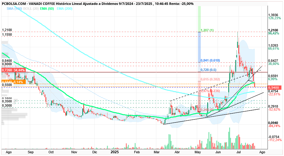 grafico de la accion Vanadi Coffee