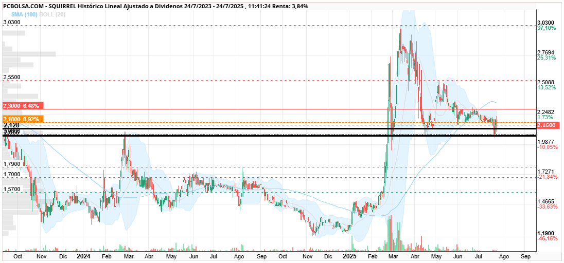 grafico de la accion Squirrel