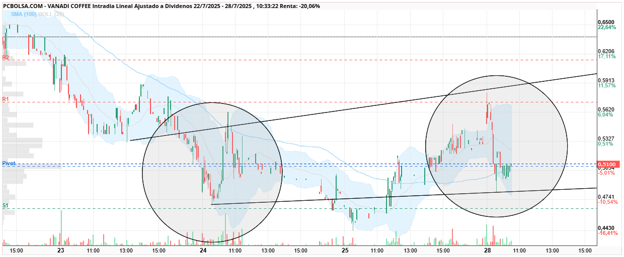 grafico de la accion Vanadi Coffee