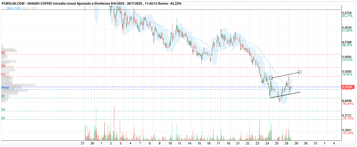 grafico de la accion Vanadi Coffee