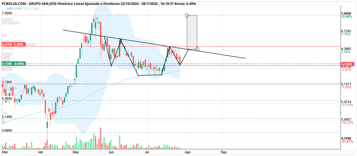grafico de la accion monin