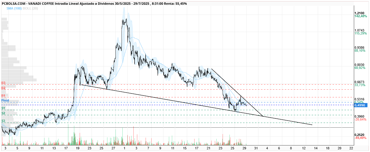 grafico de la accion Vanadi Coffee