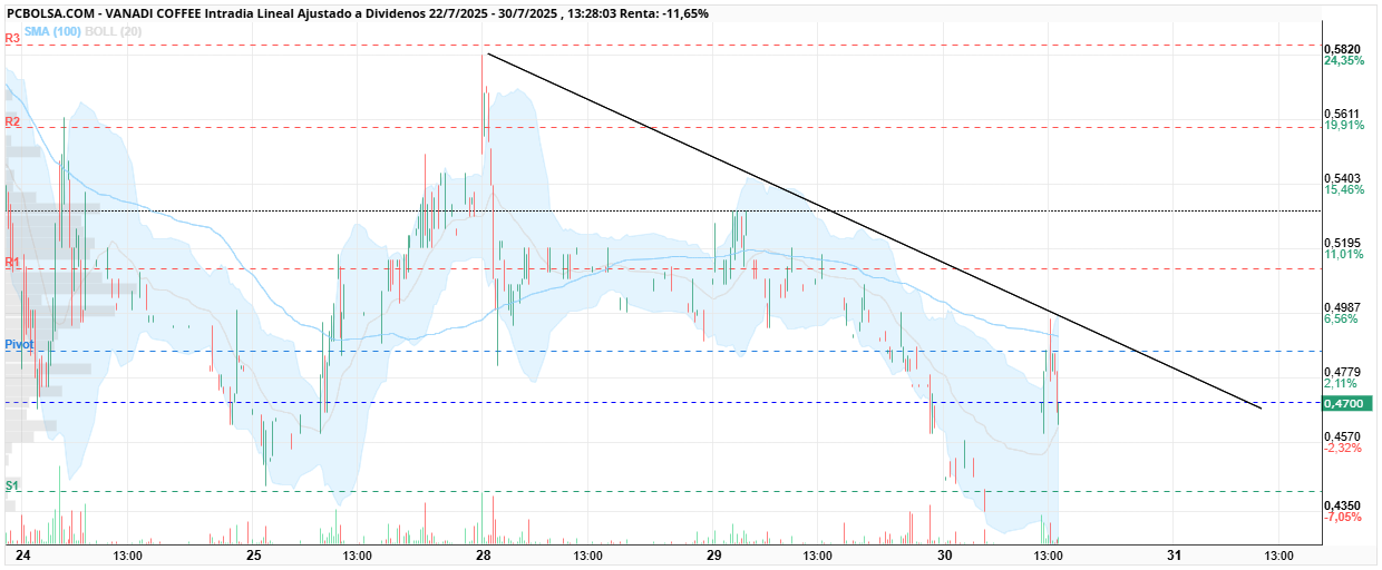 grafico de la accion Vanadi Coffee