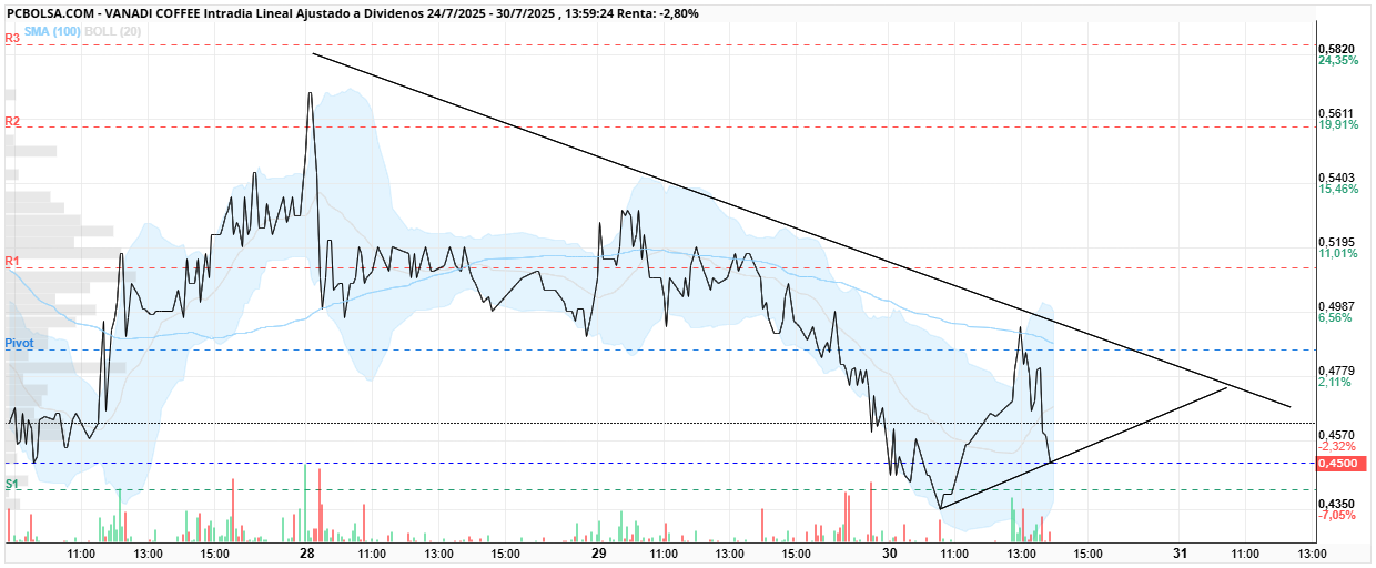 grafico de la accion Vanadi Coffee