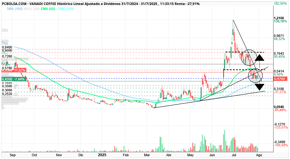 grafico de la accion Vanadi Coffee