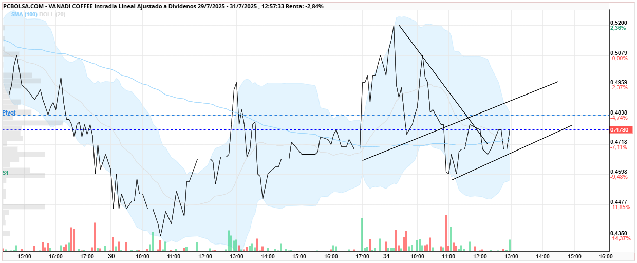 grafico de la accion Vanadi Coffee