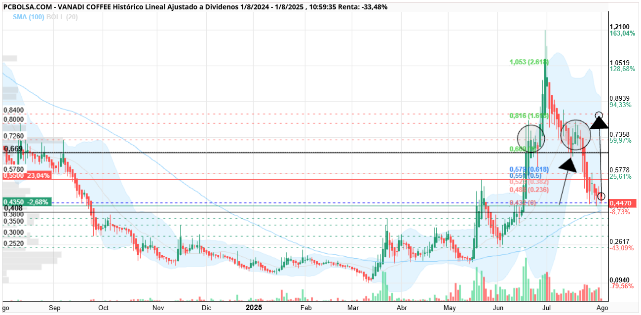 grafico de la accion Vanadi Coffee