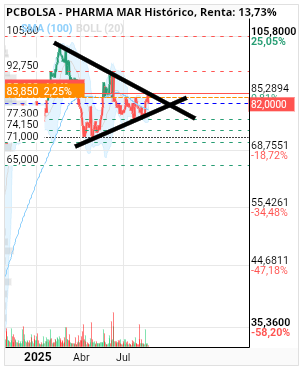 grafico de la accion faemino1