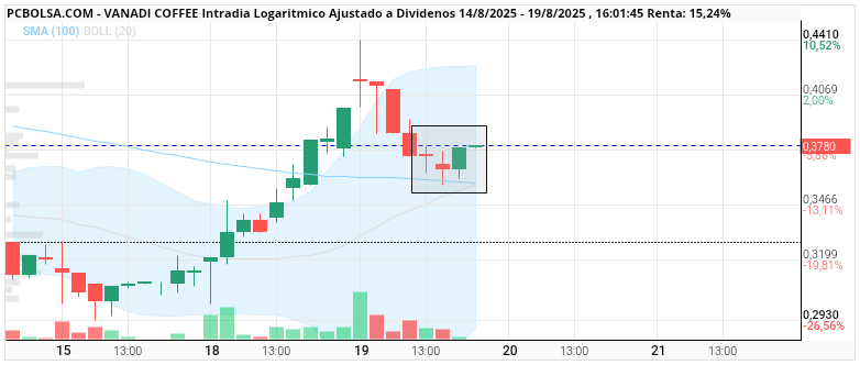 Vanadi Coffee - Patrón de vuelta en horario 