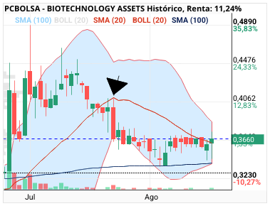 grafico de la accion BIOTECHNOLOGY ASSETS