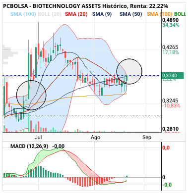 grafico de la accion BIOTECHNOLOGY ASSETS