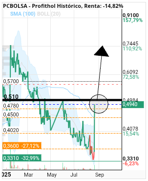 grafico de la accion Profithol