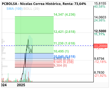 grafico de la accion Nicolas Correa