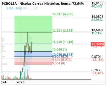 grafico de la accion Nicolas Correa