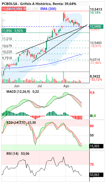 grafico de la accion diek37