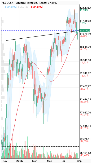grafico de la accion Bitcoin