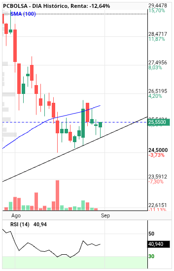 grafico de la accion DIA