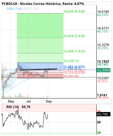 grafico de la accion josjulian