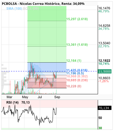 grafico de la accion josjulian