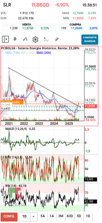grafico de la accion diek37