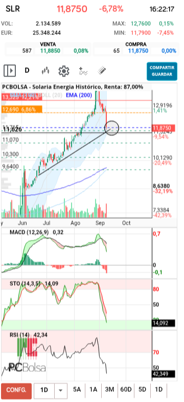 grafico de la accion diek37