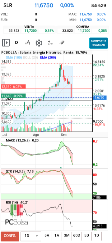 grafico de la accion diek37