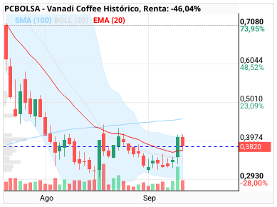 grafico de la accion Vanadi Coffee