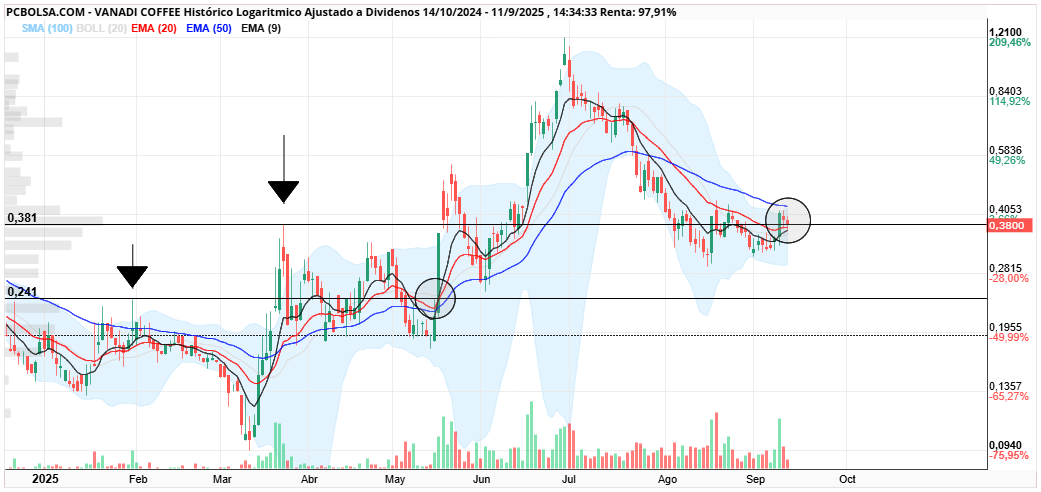 grafico de la accion Vanadi Coffee