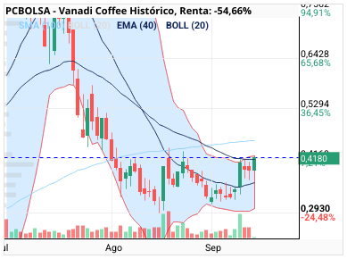 grafico de la accion Vanadi Coffee