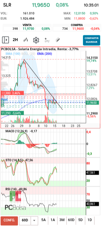 grafico de la accion diek37
