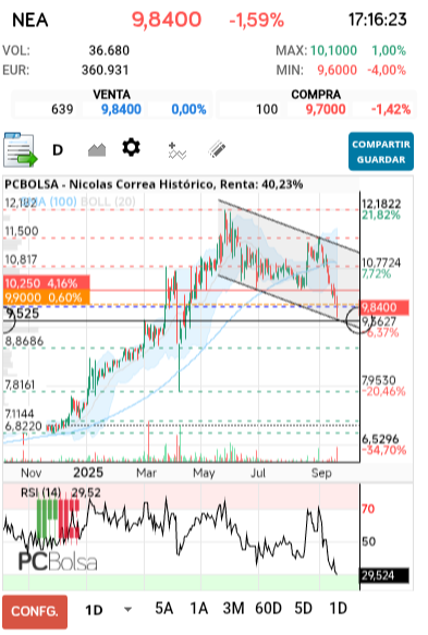 grafico de la accion Nicolas Correa