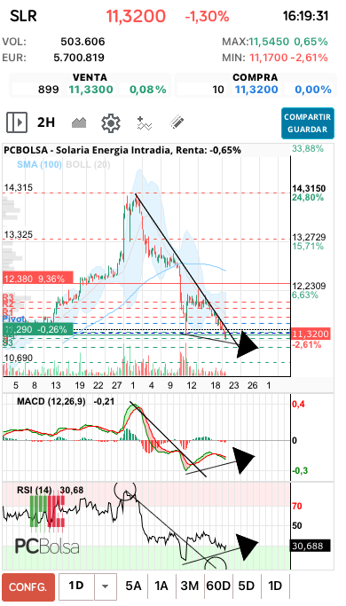 grafico de la accion pineta